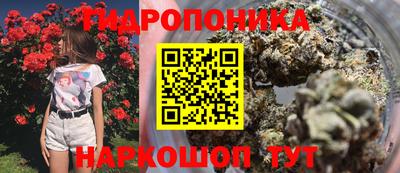 индика Бузулук