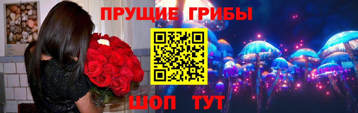 Псилоцибиновые грибы мухоморы  Вход с VPN  Мариинск 